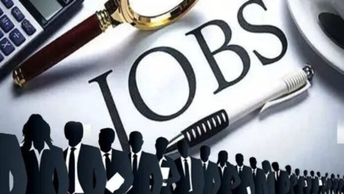 Allahabad University Recruitment: इलाहाबाद यूनिवर्सिटी में खुली 317 पदों की बड़ी भर्ती! रजिस्ट्रेशन से लेकर फॉर्म प्रिंट तक हर स्टेप जरूरी