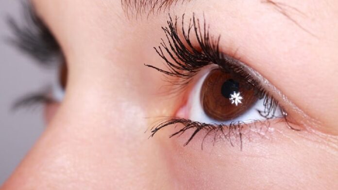Eye Health: आंखों की सेहत के लिए जरूरी विटामिन्स! जानिए कौन सा आहार रखेगा आपकी आंखों को तेज