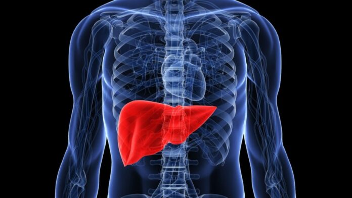 Liver Tumors: सिर्फ पेट दर्द या लीवर ट्यूमर! नजरअंदाज किया तो हो सकता है जानलेवा जानिए इलाज के रास्ते
