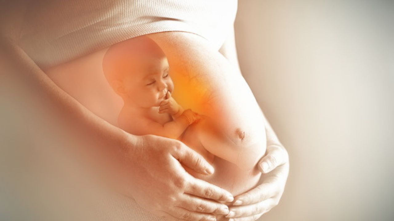 Pregnancy Baby Development: गर्भ में पल रहे बच्चे के विकास की सबसे बड़ी दुश्मन बन सकती हैं ये 5 आदतें जानिए कैसे बचें