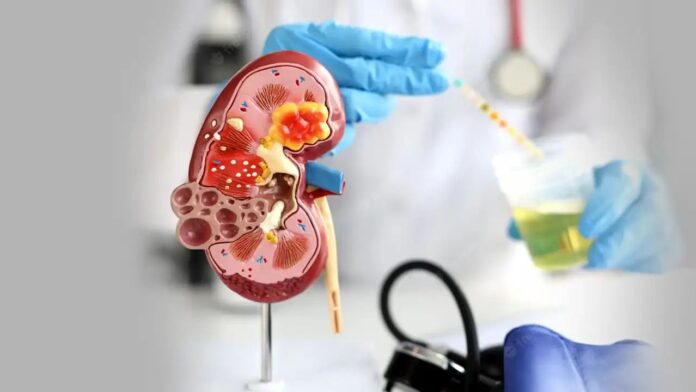 Healthy Kidney: थकावट, सूजन और पेशाब का बार-बार आना? हो सकती है किडनी की तबाही की पहली दस्तक