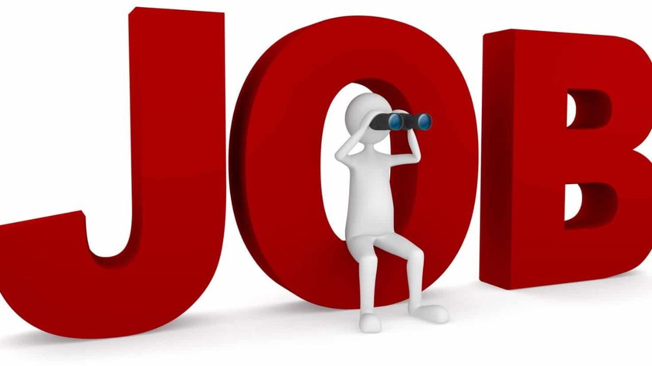 Rajasthan Village Development Officer Recruitment: 850 पदों पर राजस्थान VDO भर्ती शुरू, जानिए कैसे मिलेगा सरकारी नौकरी का मौका