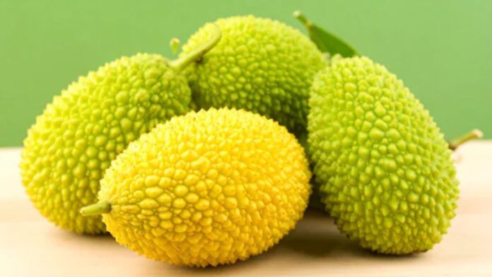 Benefits of Kakora: करेले से भी ज्यादा ताकतवर है ककोरा, स्वाद भी जबरदस्त और सेहत के फायदे गजब!