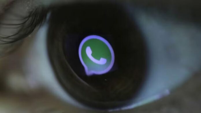 WhatsApp Blue Tick: Meta Verified की शुरुआत से बदलेगा डिजिटल बिजनेस का चेहरा, देखें कीमत और फायदे