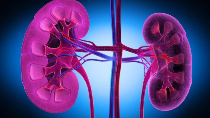 Kidney Damage: हाई बीपी और शुगर मिलकर बना रहे हैं मौत की सीढ़ी, किडनी हो रही है खत्म