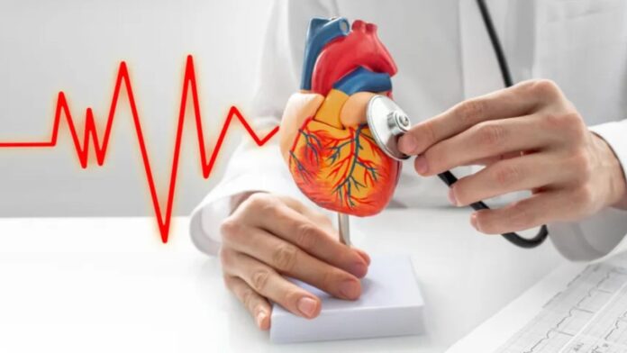 Heart Tests: हार्ट अटैक अब जवानी में भी! बचना है तो जानिए कौन-से टेस्ट हैं जरूरी