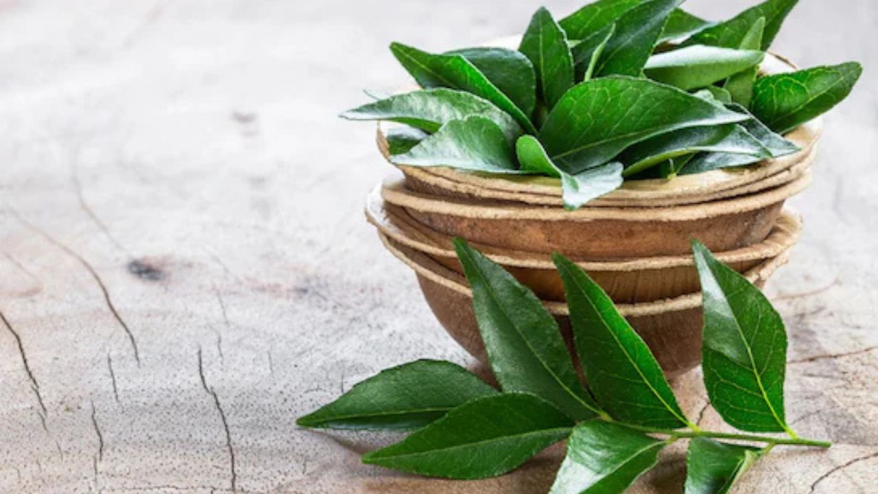 Curry leaves water: किचन का यह हरा पत्ता कर सकता है कमाल! जानिए इसका पानी कैसे बनाता है आपको सुपरफिट