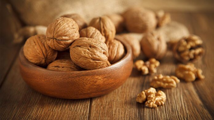 Benefits of Walnut: स्वस्थ दिल और तेज दिमाग के लिए रोज़ खाएं अखरोट! जानिए इसके चमत्कारी फायदे