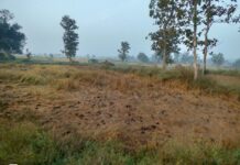 धान जमा करना हो रहा मुश्किल