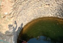 बेटे बेटी के साथ कुएं में लगाई छलांग तीनों की हुई मौत