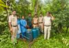 जंगल में अवैध शराब निर्माण के खिलाफ तिरोड़ी पुलिस की दबिश, 10 क्विंटल महुआ लाहन नष्ट